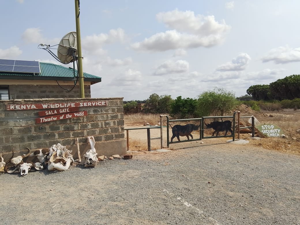 Tsavo
